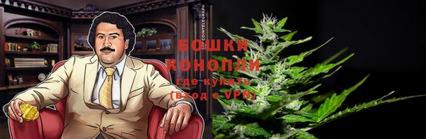 шишки Лагань