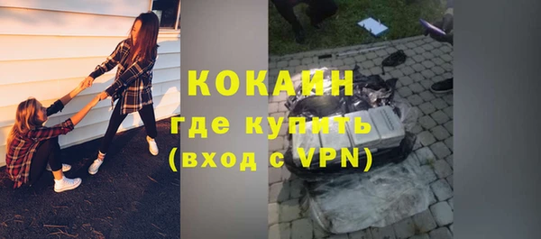 шишки Лагань