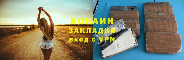 шишки Лагань