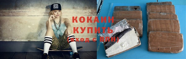 индика Лабытнанги