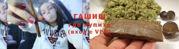 индика Лабытнанги