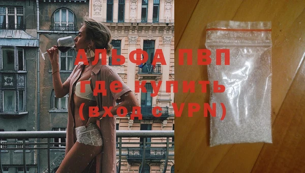 индика Лабытнанги