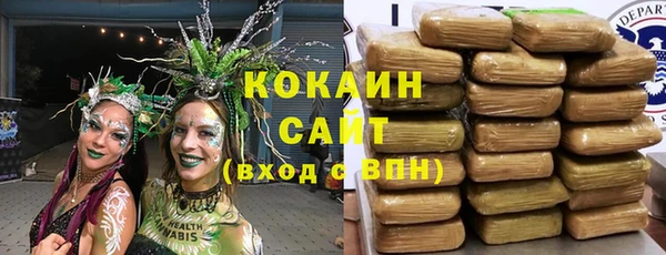 шишки Лагань
