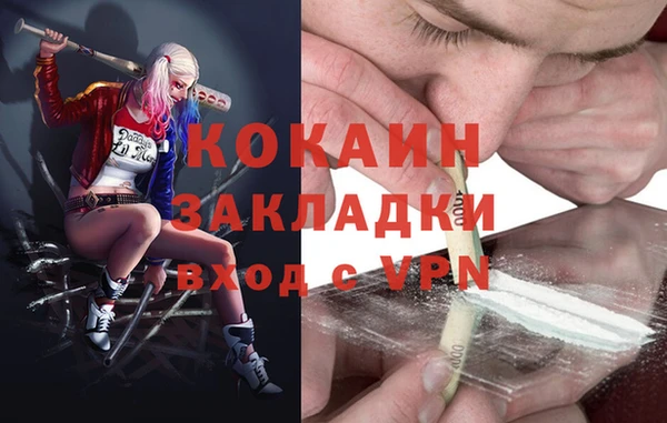 шишки Лагань