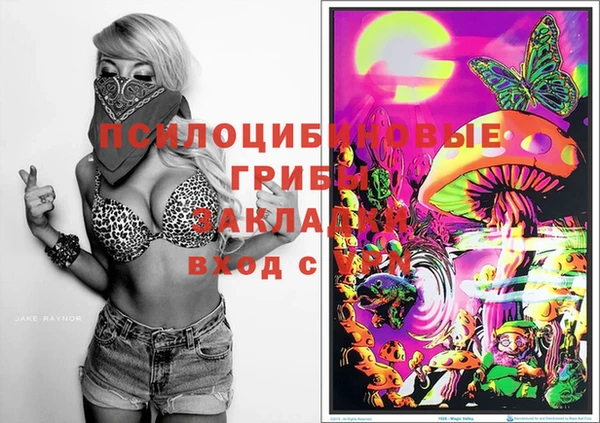 индика Лабытнанги