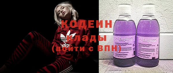 шишки Лагань