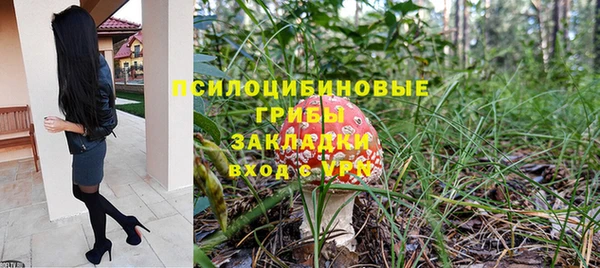индика Лабытнанги