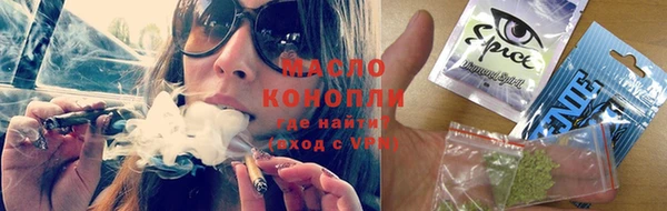 индика Лабытнанги