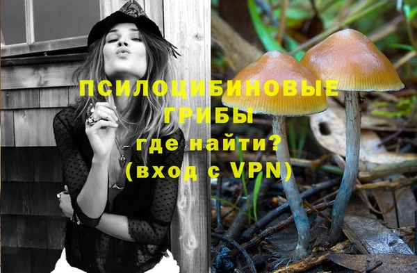 соль курить ск Ладушкин